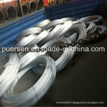 Electro Galvanized Wire